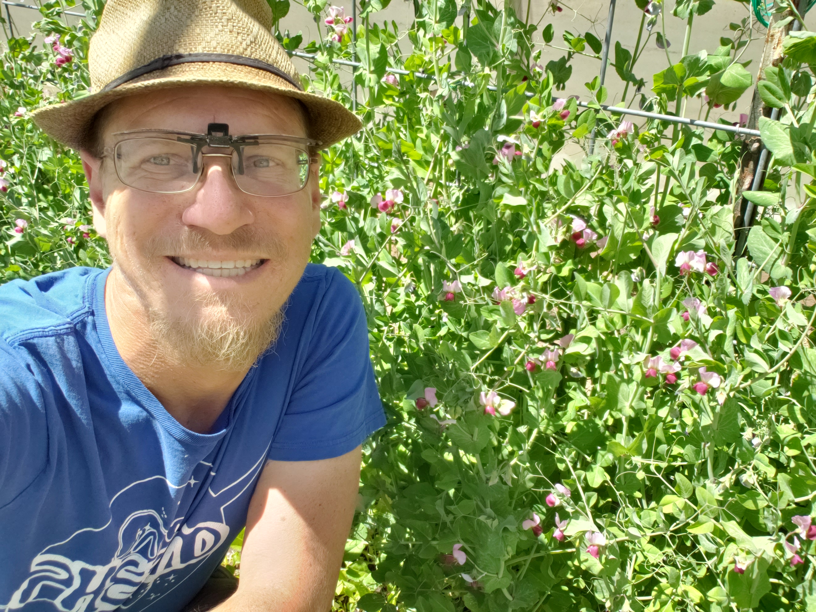 A pic of myself in front of flowering snow peas